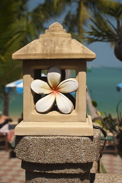 Free Thailand Flower photo and picture