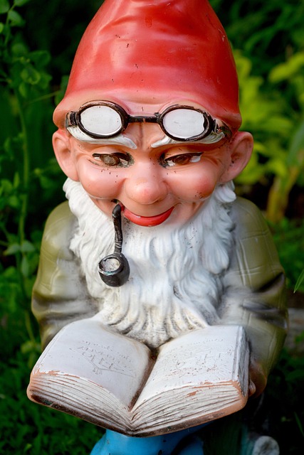 Free Dwarf Reading photo and picture