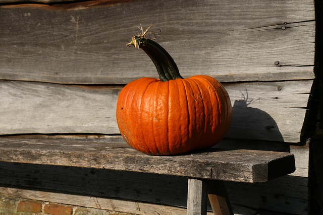Herbst, Kürbis, Orange, Bank