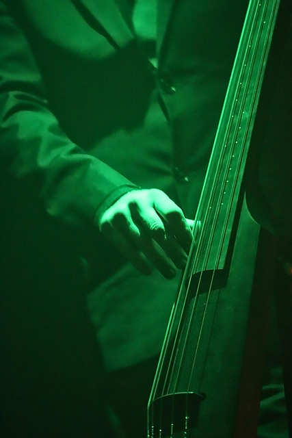 Musiker, Konzert, Kontrabass, Kontrabass
