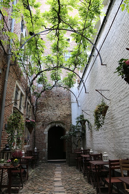 Romantische, Terrasse, Gemütliche, Cafe