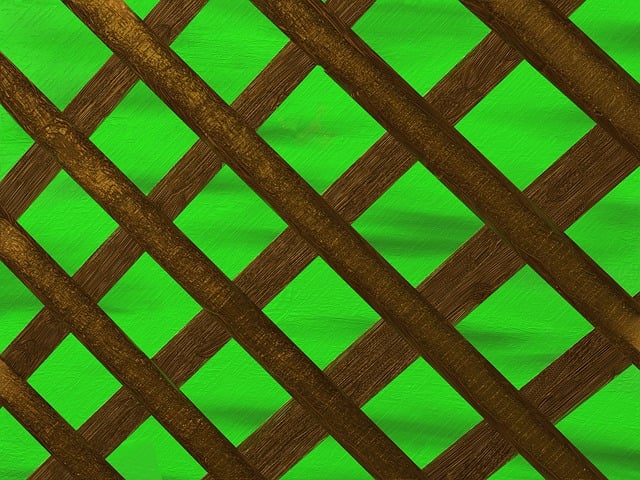 Free fence privacy limitation illustration