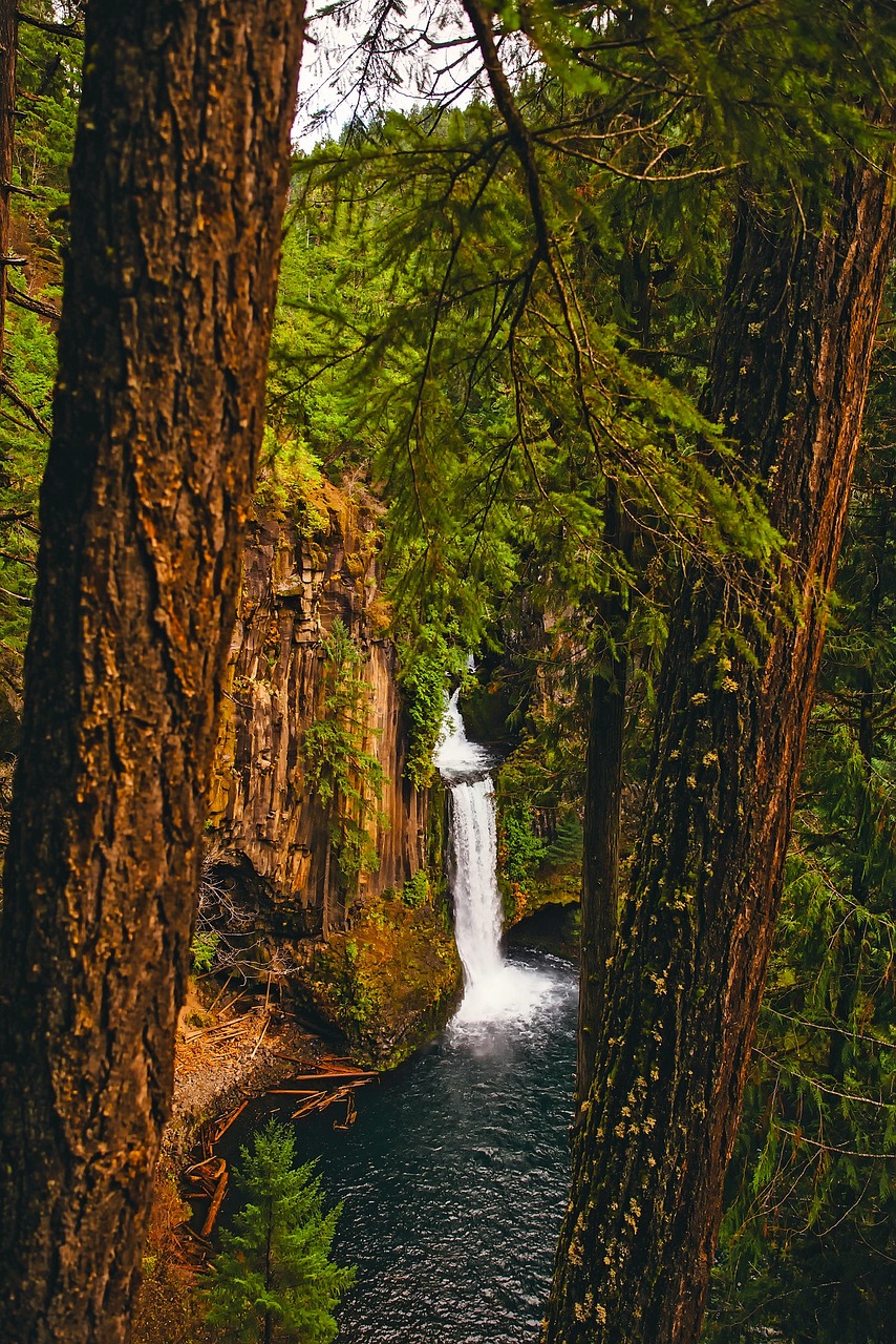 Oregon Mountains Waterfall - Free photo on Pixabay - Pixabay