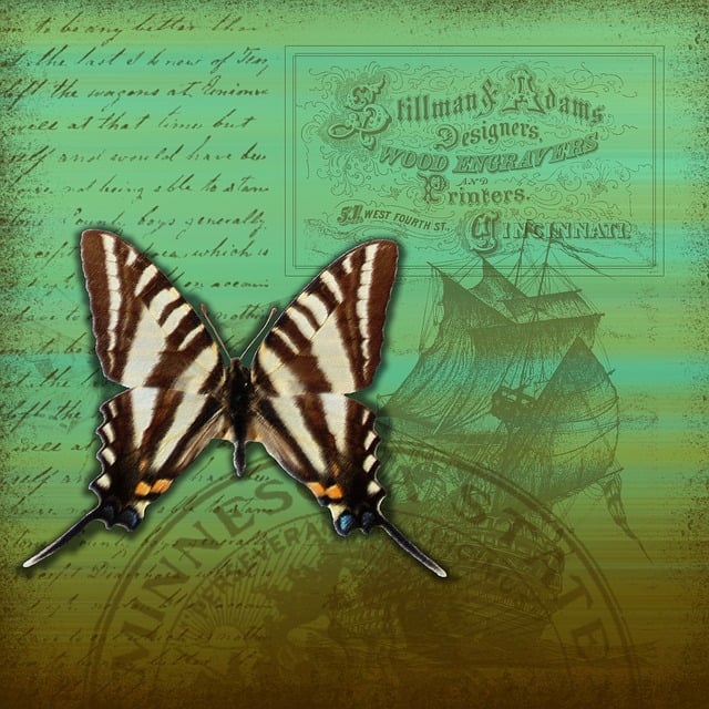 Free scrapbook vintage paper illustration