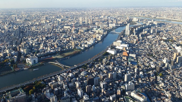Free Tokyo Skyline photo and picture