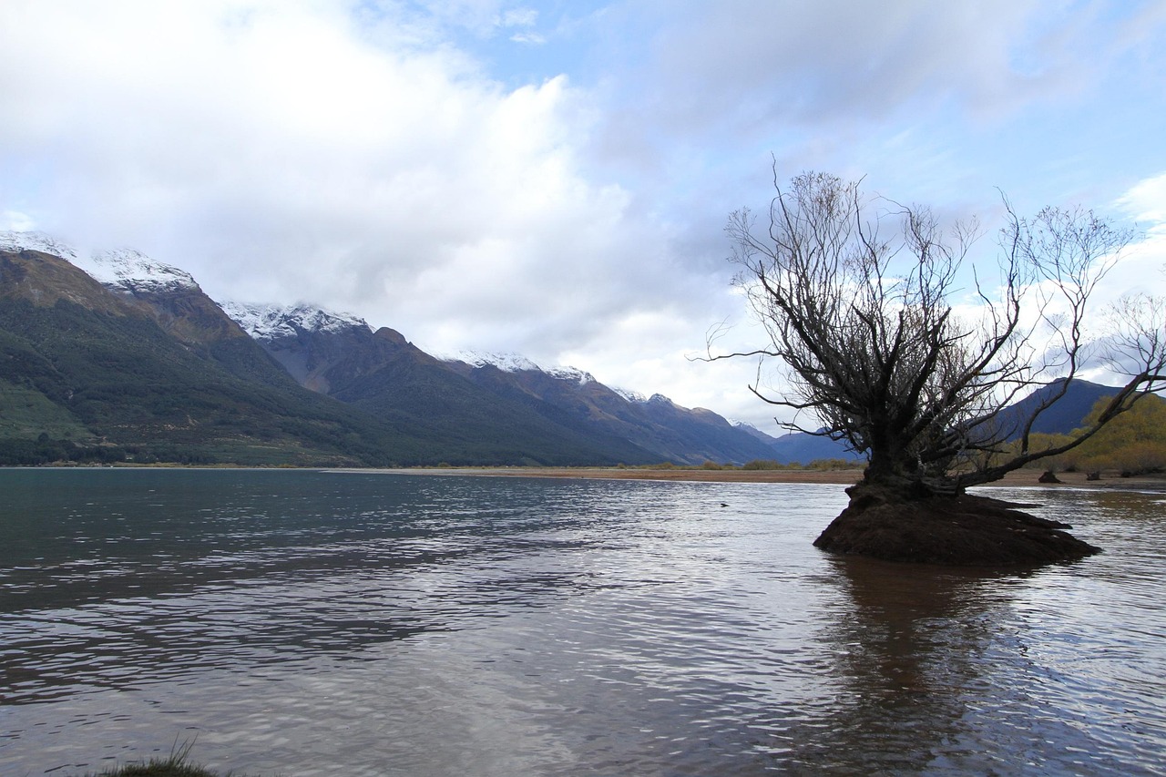 new zealand 1886579 1280