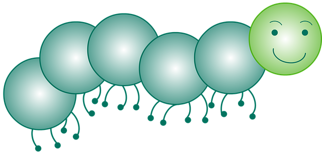 Free centipede animal insect illustration