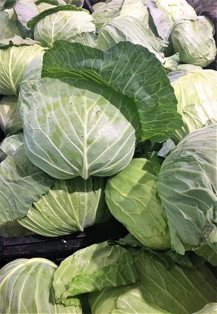 Repollo, Hoja, Blanco, Verde, Vegetal