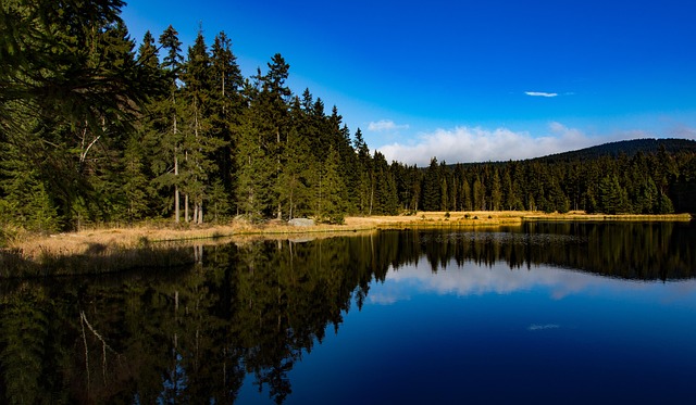 Lago, El Verano, Vacaciones, Agua, Peces
