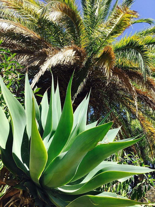 Top 10 Kid-Friendly Activities to Enjoy in the Algarve