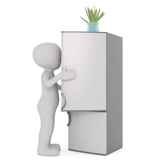 Free refrigerator white male 3d model illustration