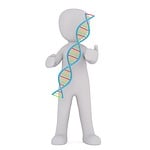 dna, white male, 3d model