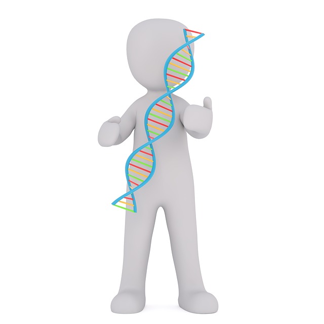 Free dna white male 3d model illustration