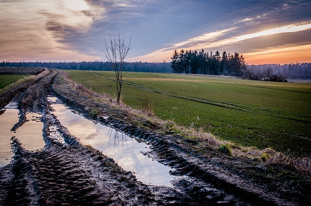 Free Autumn Sunset photo and picture