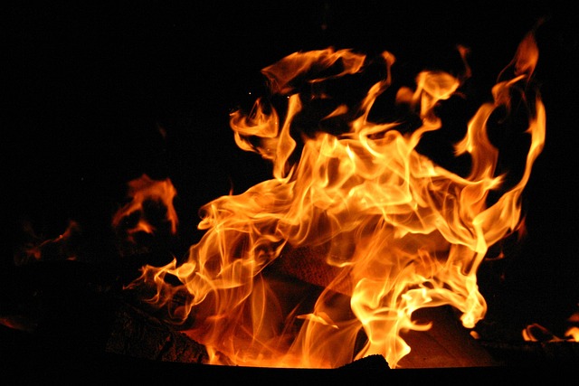 Free Fire Campfire photo and picture