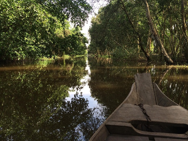 Free Natural Viet Nam photo and picture