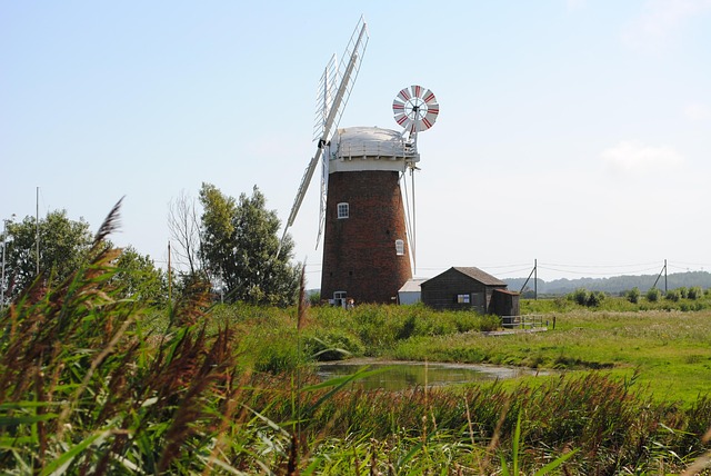 Free Horsey Broads photo and picture