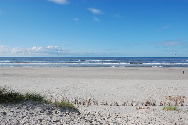 Free Ameland Sea photo and picture