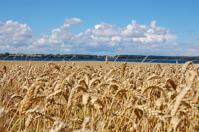 Free Denmark Landscape photo and picture
