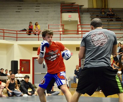 Free Mma Mixed Martial Arts photo and picture