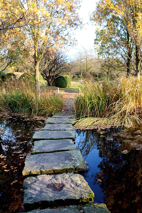 Teich Weg Landschaft Kostenloses Foto auf Pixabay Pixabay