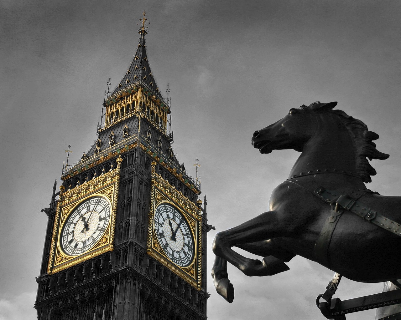 Big Ben Horse Black - Free photo on Pixabay - Pixabay