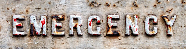 Free Emergency Sign photo and picture