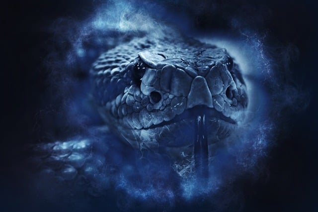 Serpiente De Cascabel, Reptil, Serpiente