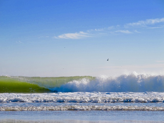 Free Wave Foam photo and picture