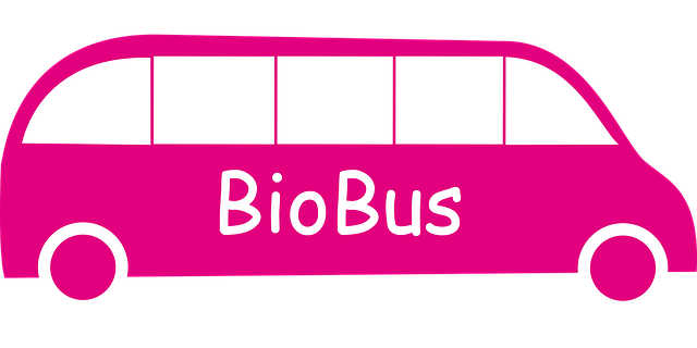 Free sustainable development transport ecological vector