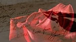 rose, red, red rose