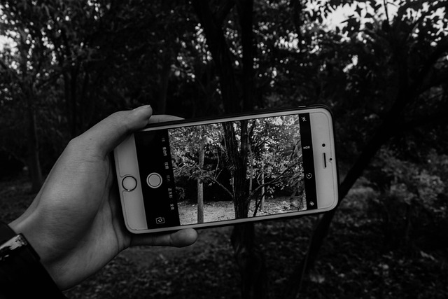 Free Black And White Mobile Phone photo and picture