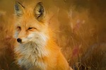 painting, oil painting, photo painting