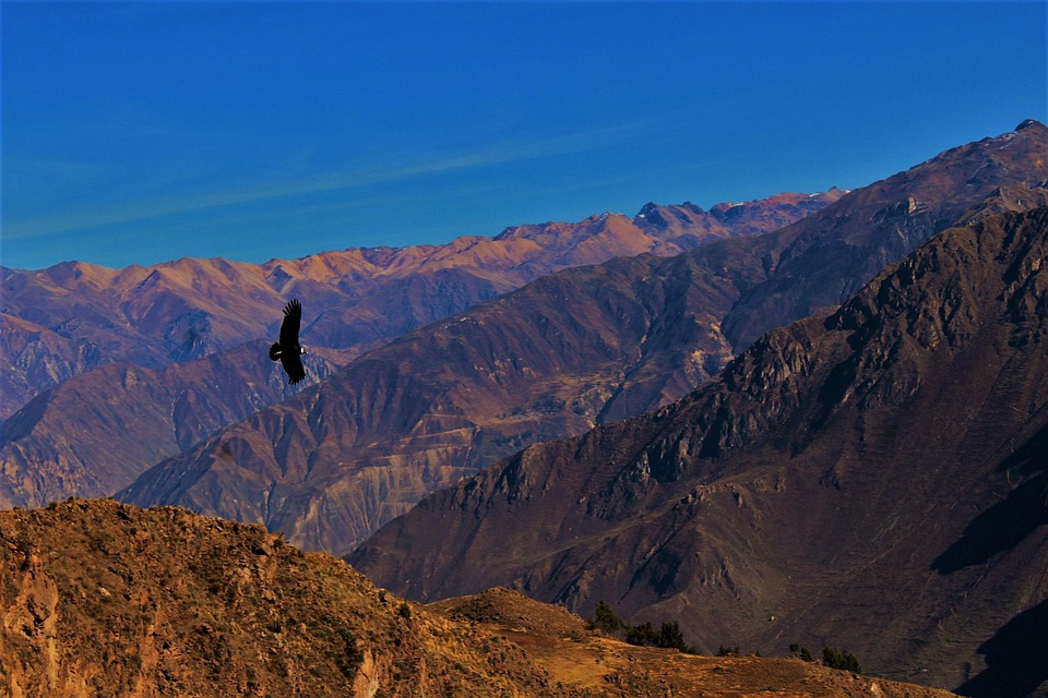 Cañón del Colca