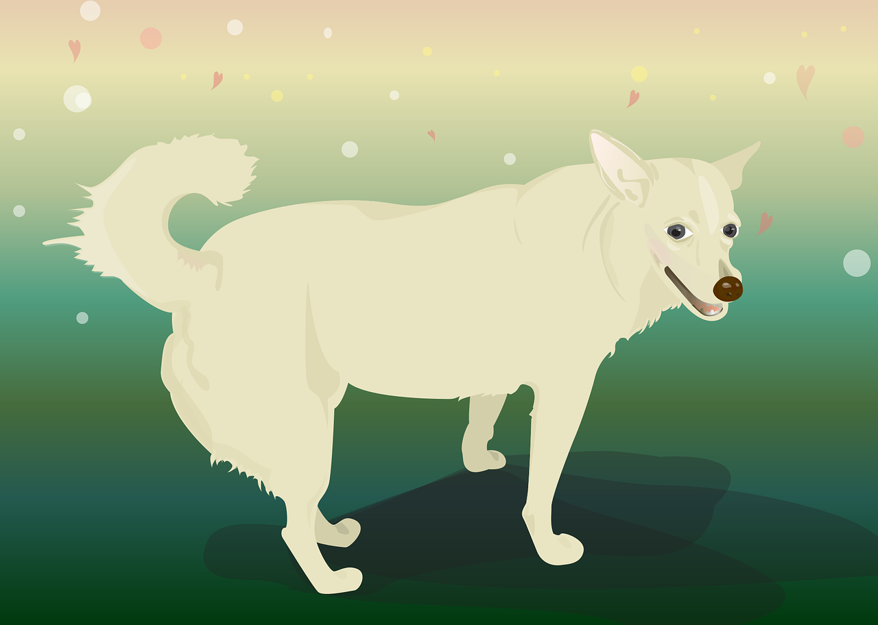 Download free HD stock image of Dog Color Free dog animal color vector