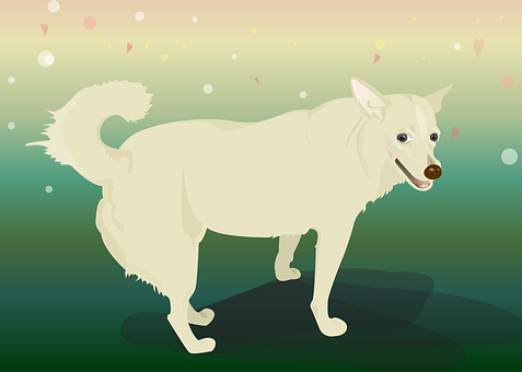 Cão, Animal, Cor, Ilustração