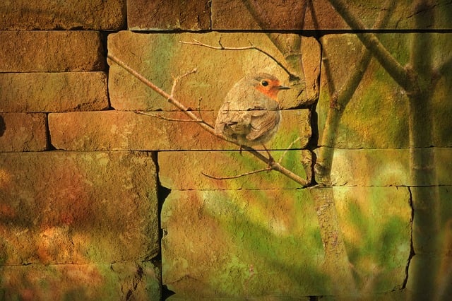 Free texture background wall illustration