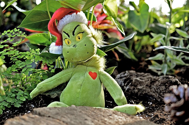 Free Grinch Green photo and picture