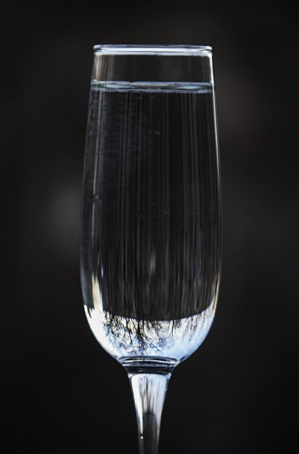 Copo De Vinho, Macro, Especialização