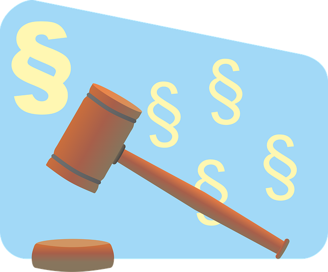 Free law paragraph justice vector