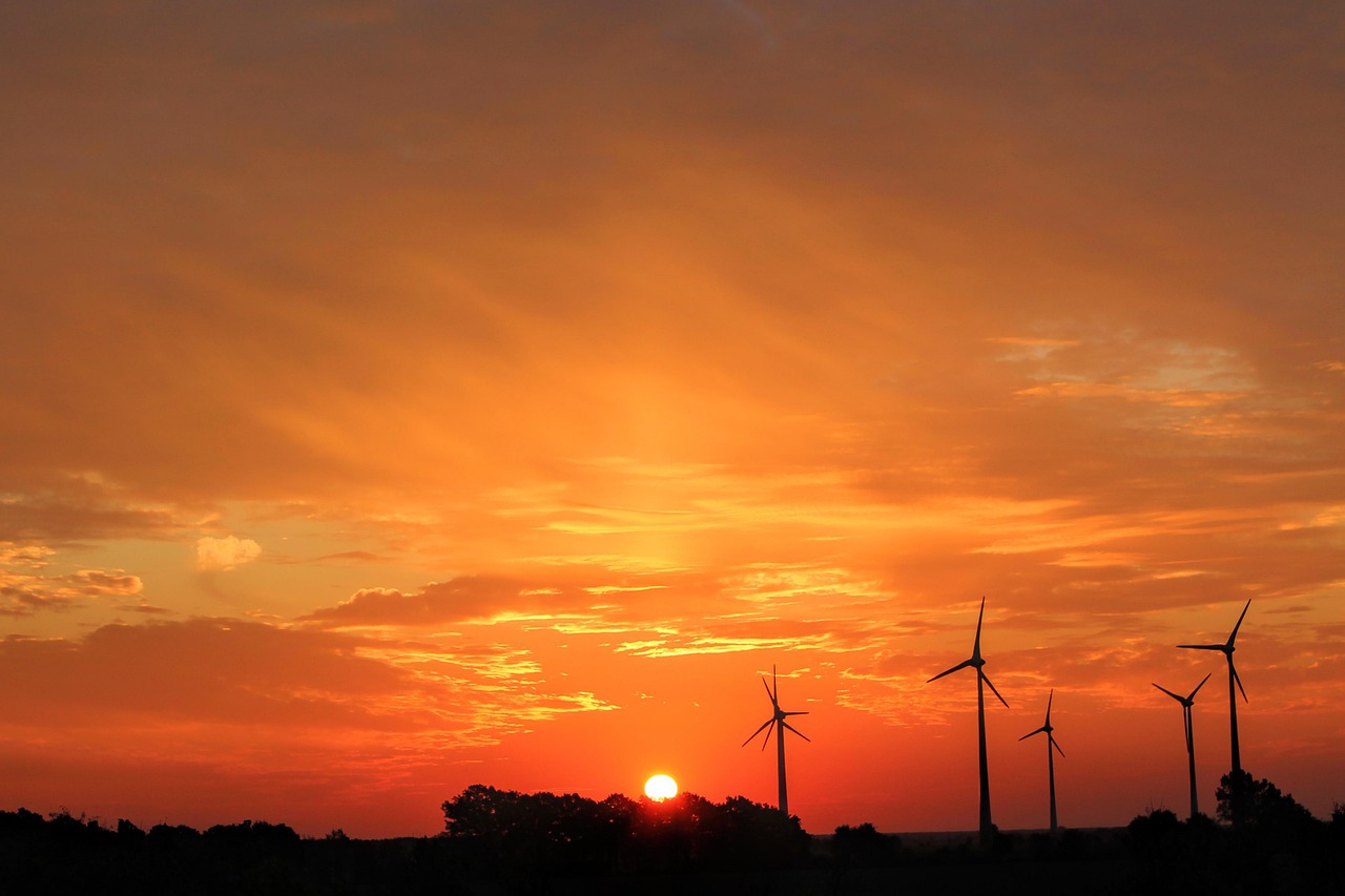 sunset-1899042_1280.jpg