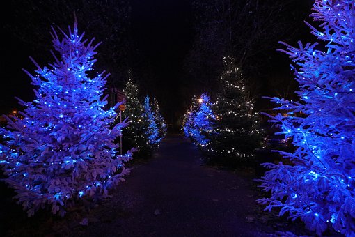 Free Christmas Lights photo and picture
