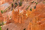bryce canyon, hoodos, usa