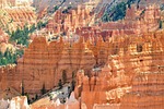 bryce canyon, hoodos, usa