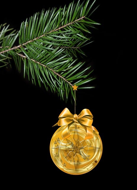 Free christmas ball xmas christmas illustration