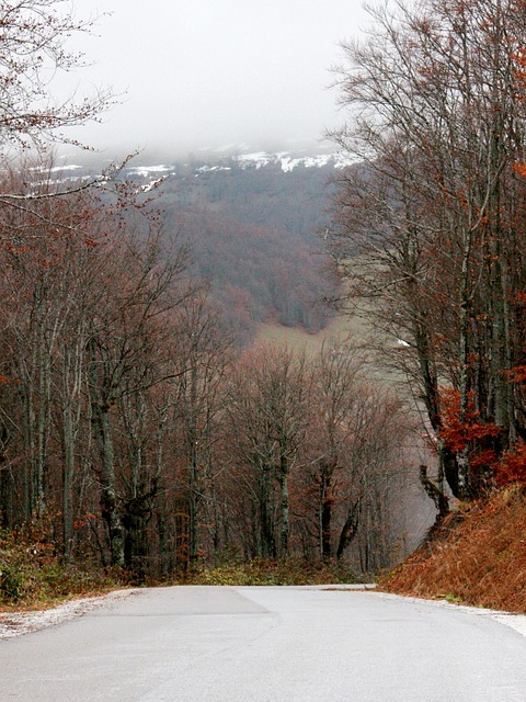 Nebel, Berg, Herbst, Landschaft, Neblig