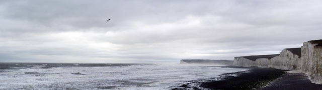 Free Black And White Beach photo and picture