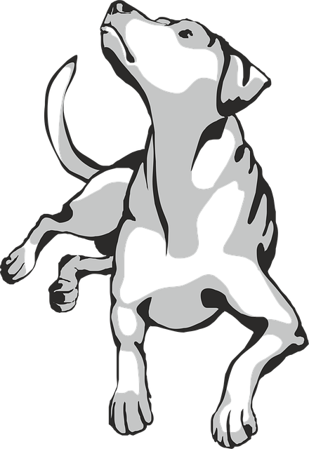 Free dog pet animal vector