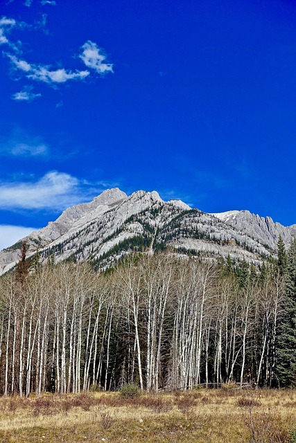 走，到锂三角淘金去