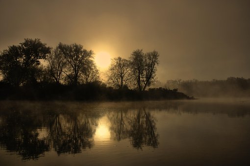 Free River Fog photo and picture